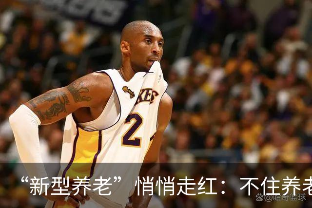 “新型养老”悄悄走红：不住养老院，不拖累子女，晚年体面又轻松
