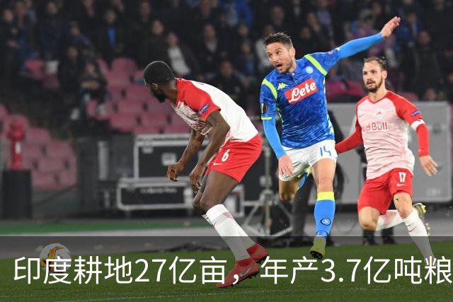 印度耕地27亿亩，年产3.7亿吨粮食，我国耕地19.18亿亩，年产多少
